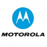 Partenaire export Motorola en Afrique