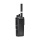 dp4400-fp